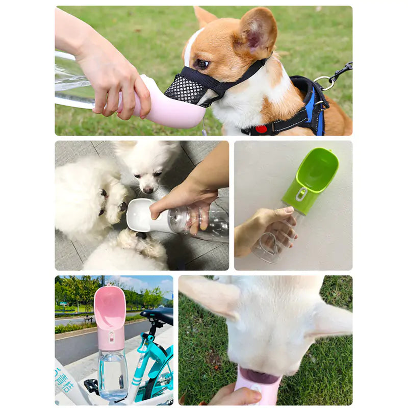 Multifunctional Pet Bottle